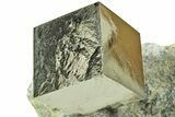 Natural Pyrite Cube In Rock - Navajun, Spain #211387-1